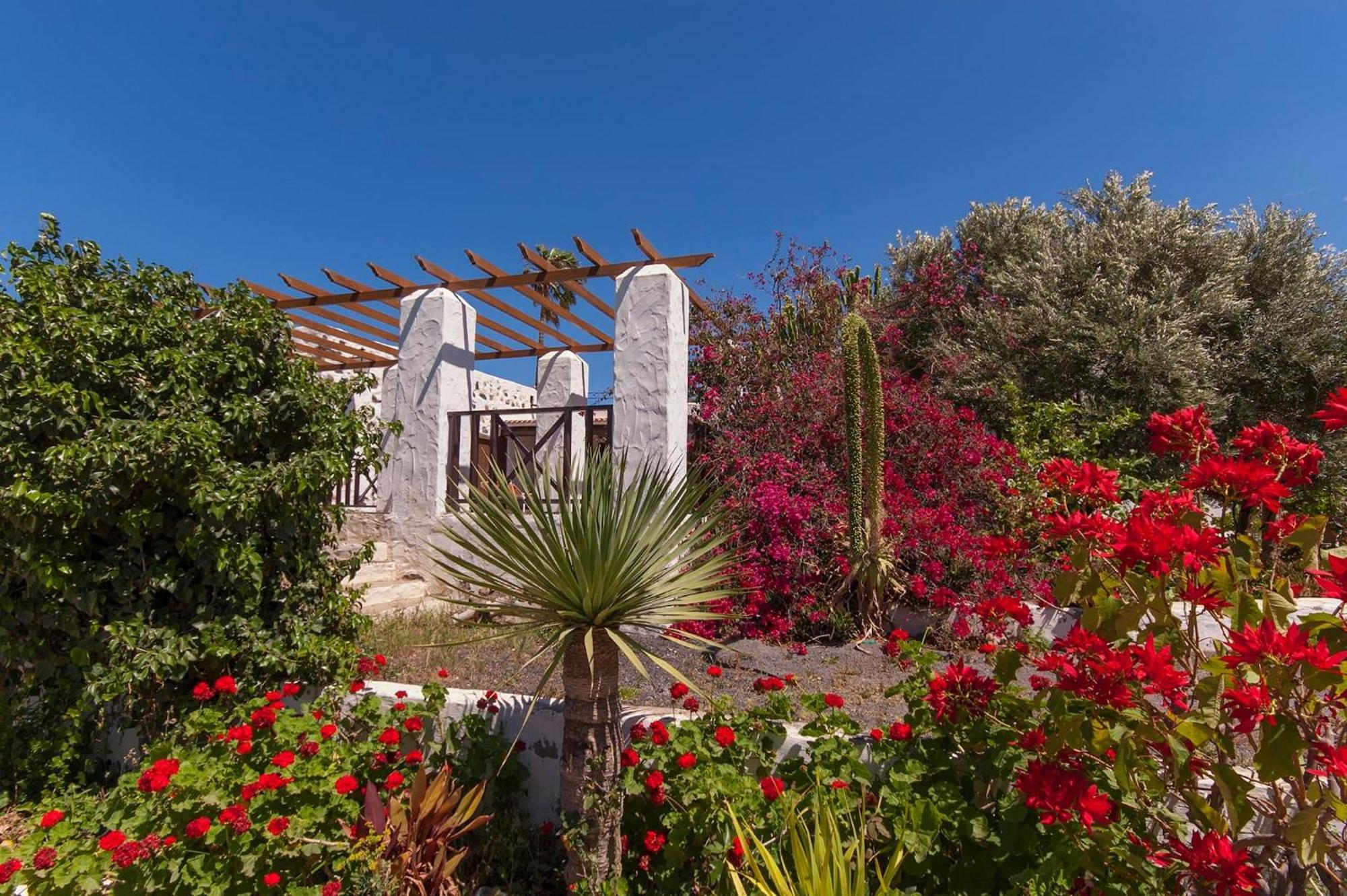 Finca El Lomo Ingenio Kültér fotó